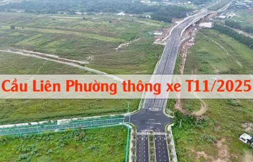 Cầu Liên Phường thông xe T11/2025 – Trục giao thông chiến lược kết nối The Global City