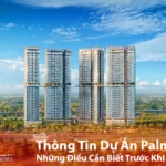 Bách Như Properties - BNPs cập nhật - Thông Tin Dự Án Palm River Những Điều Cần Biết Trước Khi Lựa Chọn