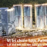 Vị trí chiến lược Palm River – Lợi thế kết nối tạo nên giá trị khác biệt - Bách Như Properties - BNPs
