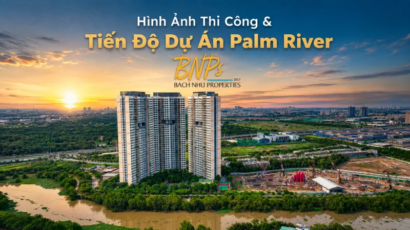Hình Ảnh Thi Công Palm River